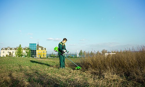 «Предназначение» товара: «Бензиновый триммер Foresta FC-52 LX + Масло + Смазка для редуктора» - фото №1 Характеристика товара «Предназначение» - фото №1