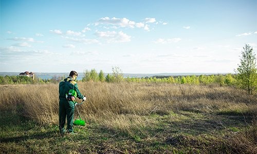 «2Т двигун» товара: «Бензиновий тример Foresta FC-47 LX + Волосінь + Масло + Мастило Dnipro-M» - фото №2 Характеристика товара «2Т двигун» - фото №2
