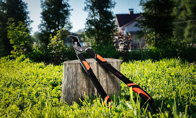 Характеристика товару «Сфера застосування» - фото №2