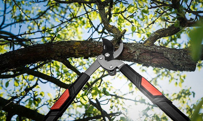 Характеристика товару «Поради щодо використання» - фото №3