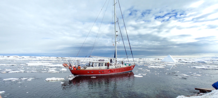 Туристические яхты в Антарктиде не редкость, однако из-за карантина полярники общаются с моряками на расстоянии