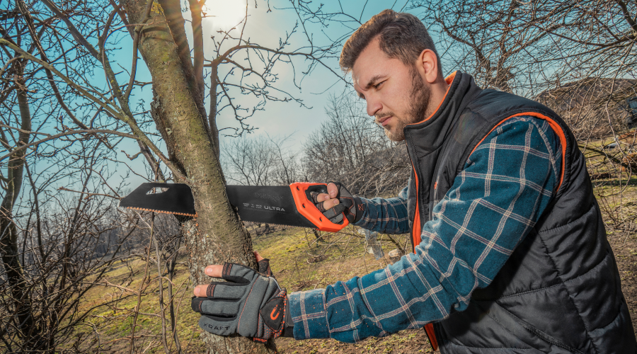 Ручна садова пила